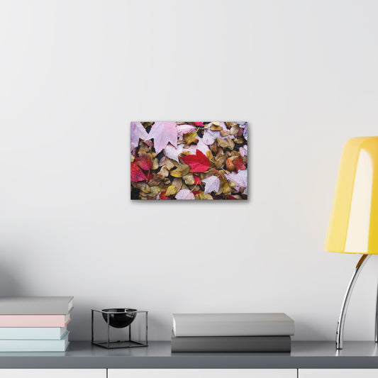 Red leaves on the Dirty Damp Ground