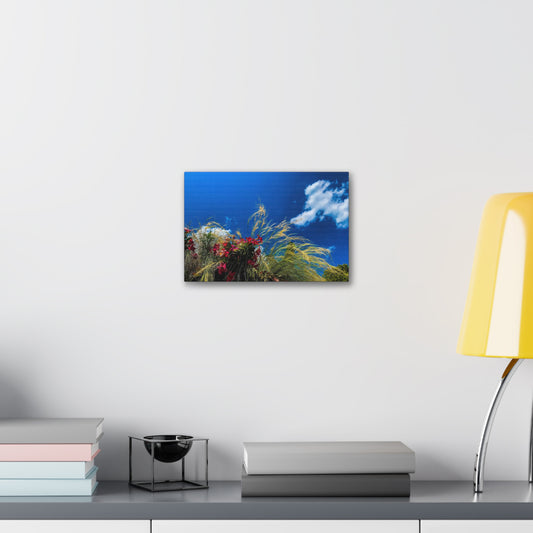 Red Flowers, Green Grass and Blue Sky: Photo Print