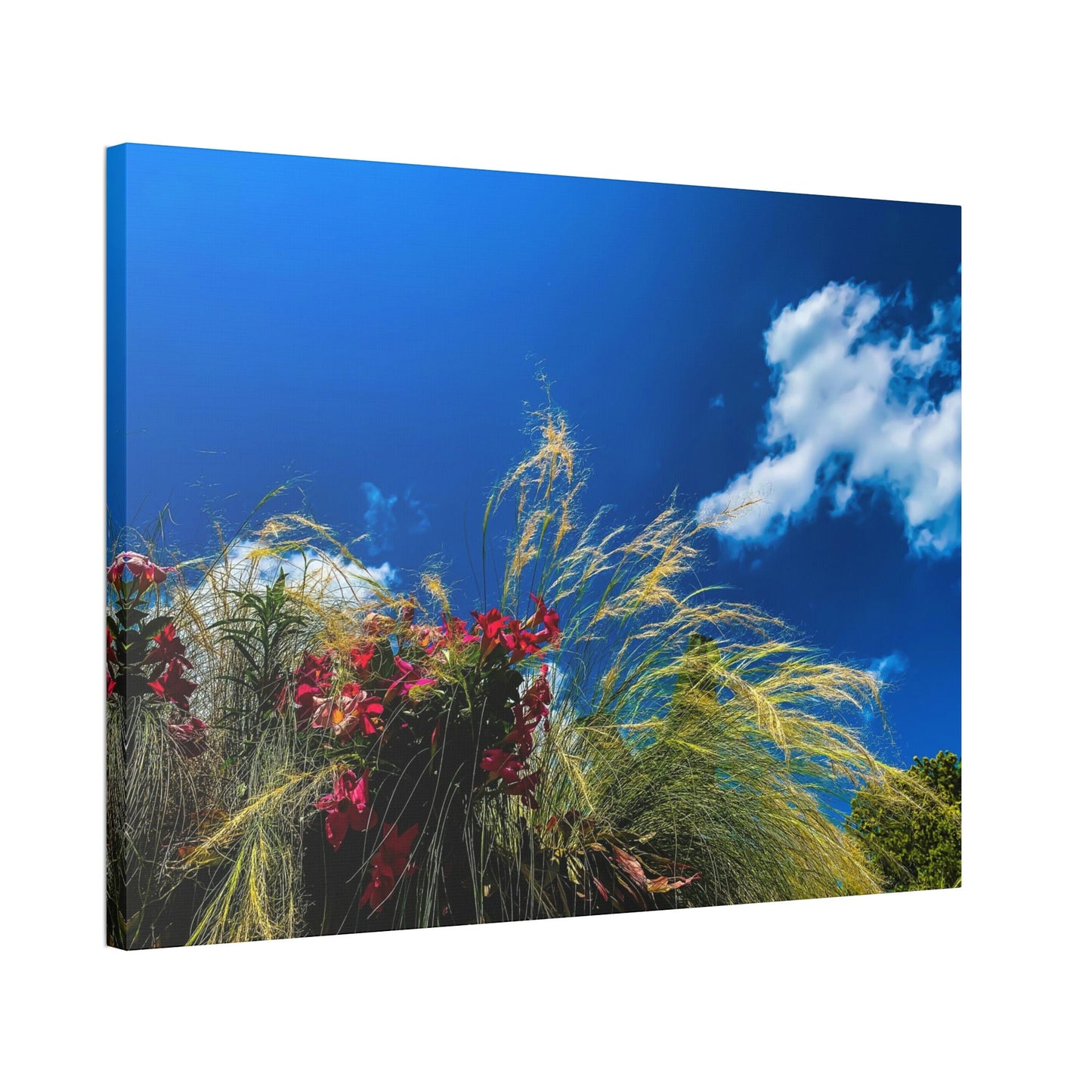 Red Flowers, Green Grass, White Clouds, and a brilliant Blue Sky: Brightly colored photograph print.