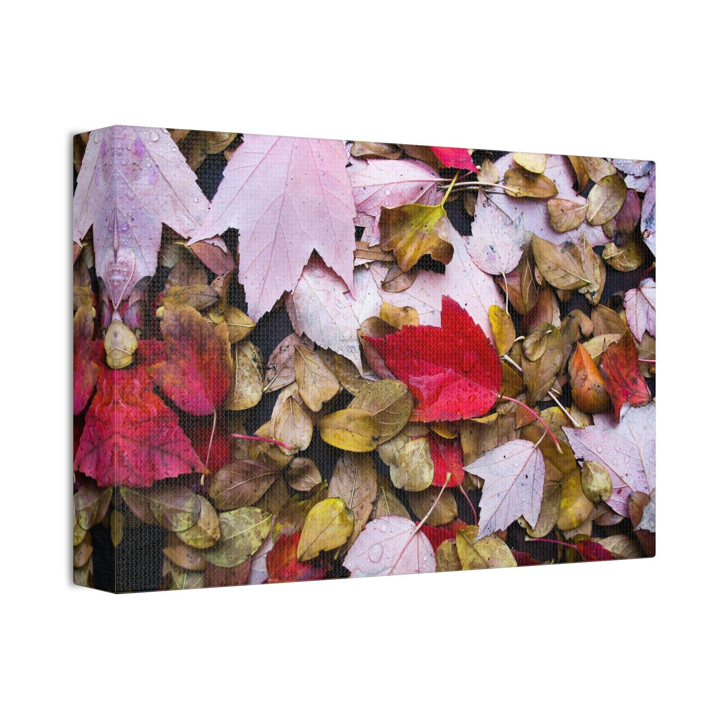 Red leaves on the Dirty Damp Ground