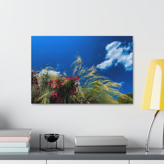 Red Flowers, Green Grass, White Clouds, and a brilliant Blue Sky: Brightly colored photograph print.