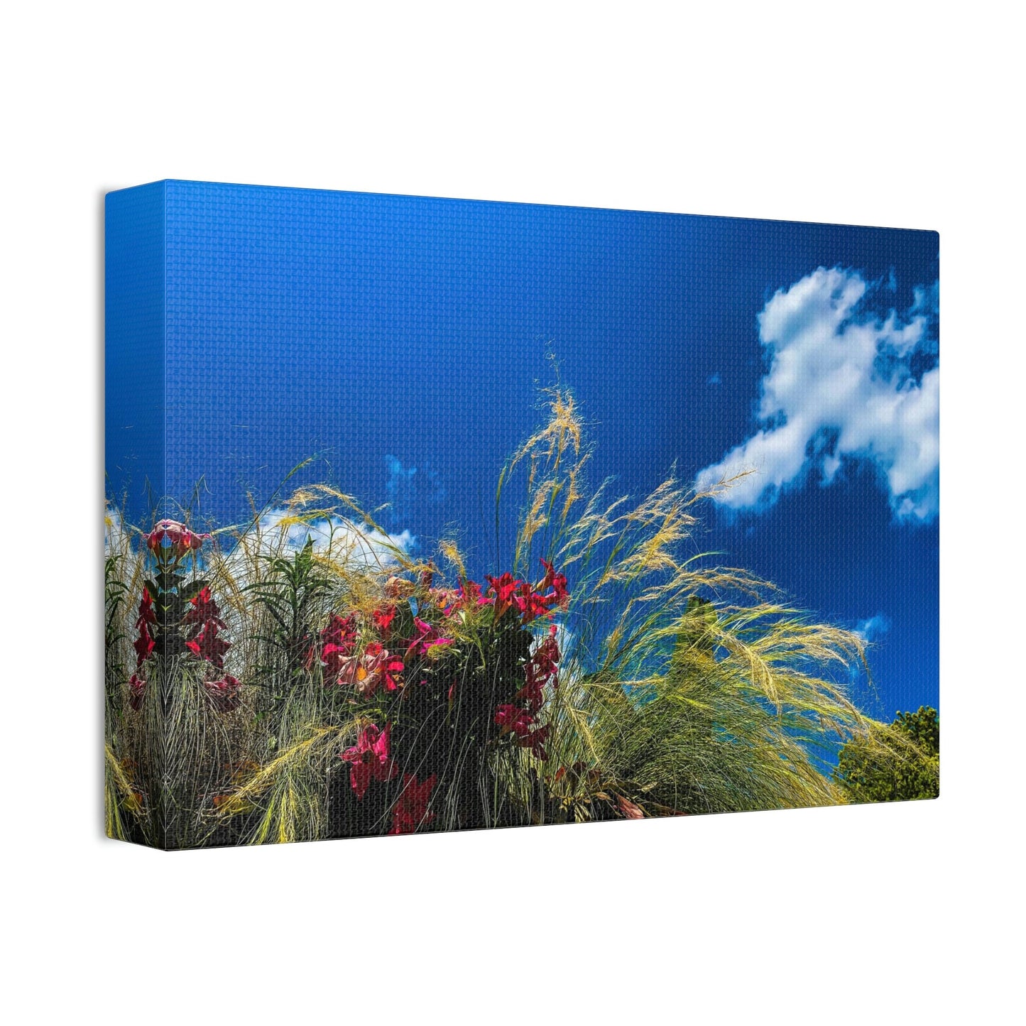 Red Flowers, Green Grass, White Clouds, and a brilliant Blue Sky: Brightly colored photograph print.